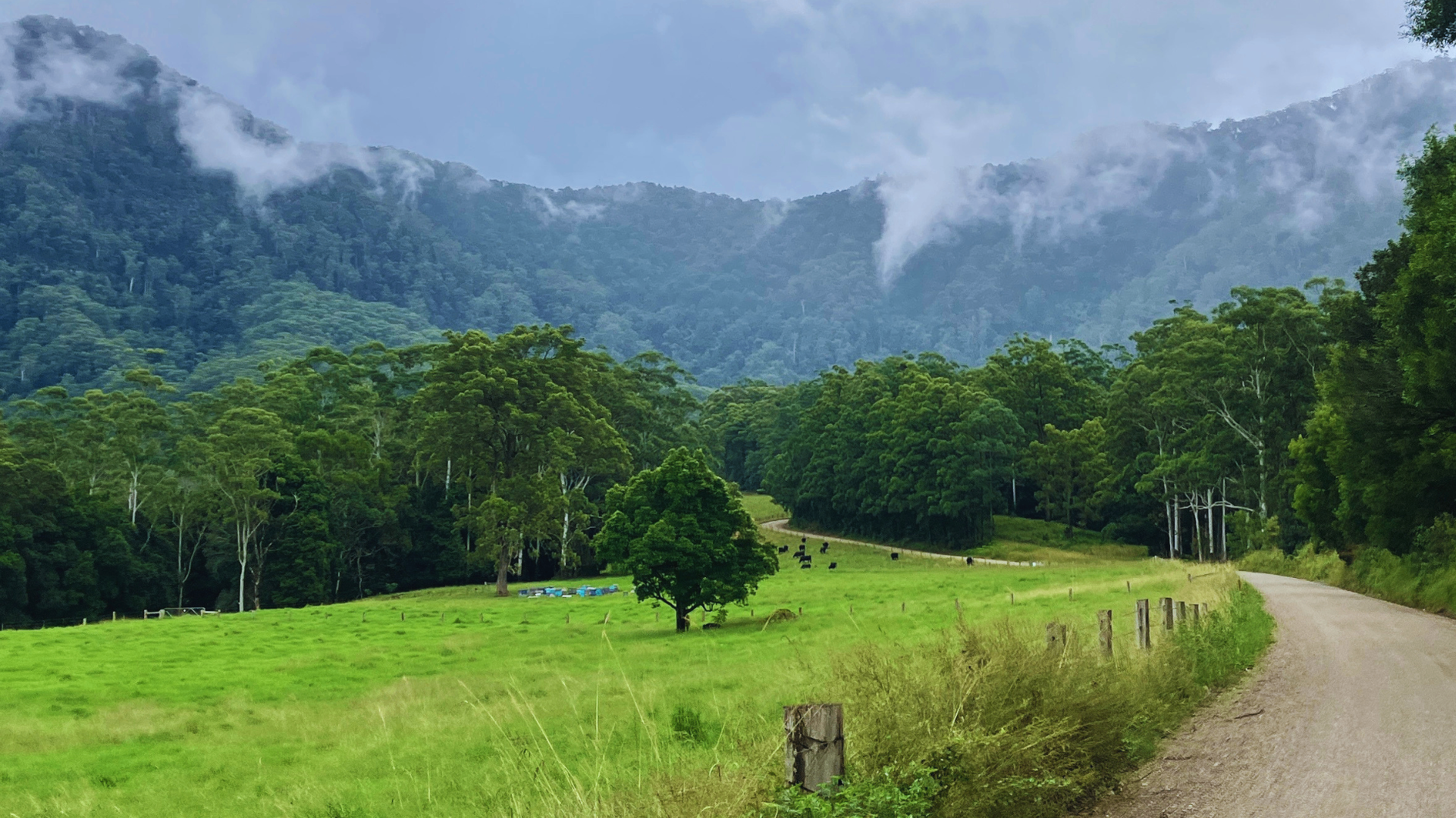 Scenic coastal landscape