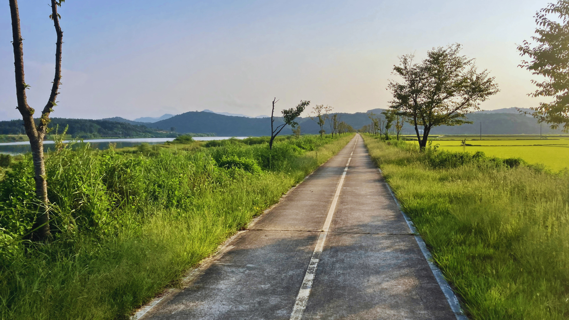 Scenic coastal landscape