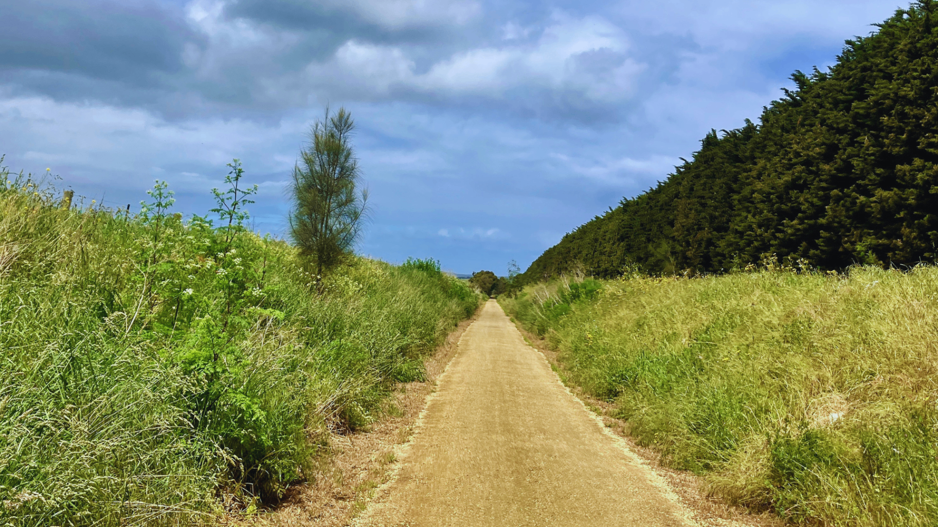 Scenic coastal landscape